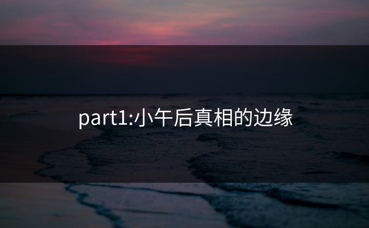 part1:小午后真相的边缘