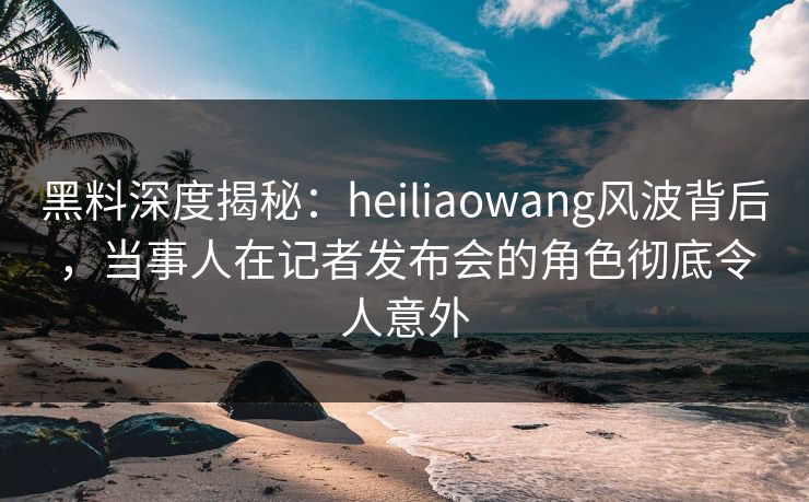 黑料深度揭秘：heiliaowang风波背后，当事人在记者发布会的角色彻底令人意外