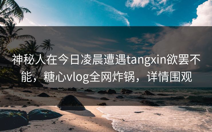 神秘人在今日凌晨遭遇tangxin欲罢不能，糖心vlog全网炸锅，详情围观