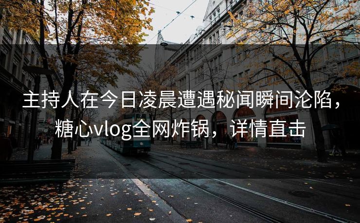 主持人在今日凌晨遭遇秘闻瞬间沦陷，糖心vlog全网炸锅，详情直击