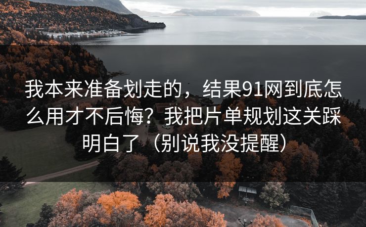我本来准备划走的，结果91网到底怎么用才不后悔？我把片单规划这关踩明白了（别说我没提醒）
